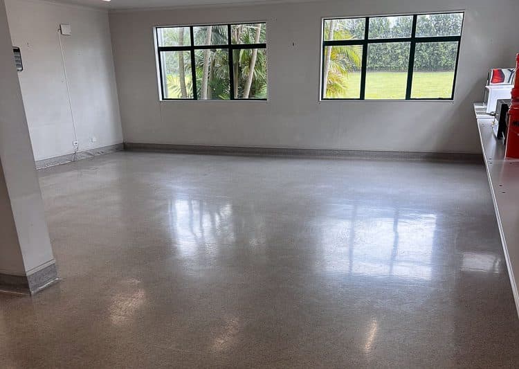 Vinyl Floor polish